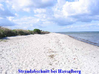Strand Kronsgaard