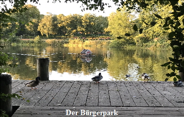 IMG_2931