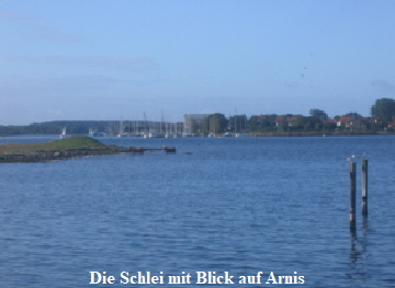 Schlei bei Arnis11%