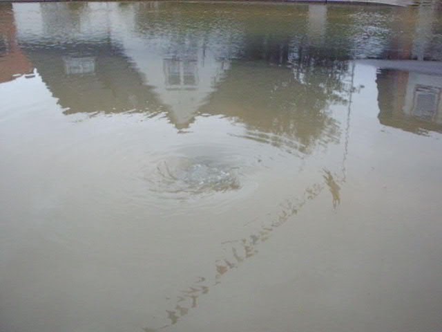 Wasserabfluss Norderholm-DSCI0185_Moment