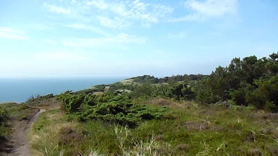 Anholt Sd-Westseite-SAM_1262_Moment