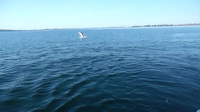 Wal-SAM_0729_Moment